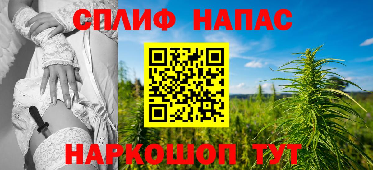 Шишки марихуана план Гагарин